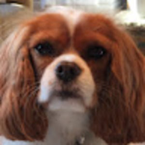 Meet your Posher, Clare